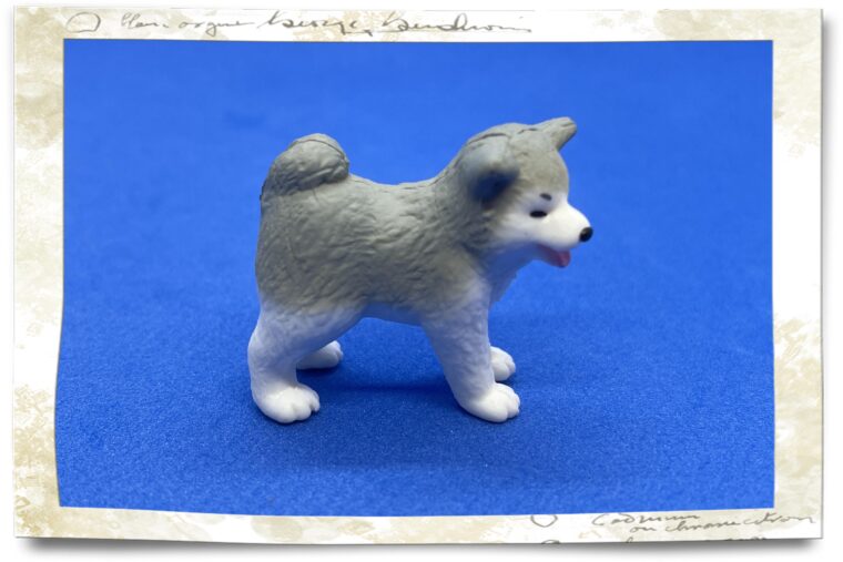 秋田犬の側面