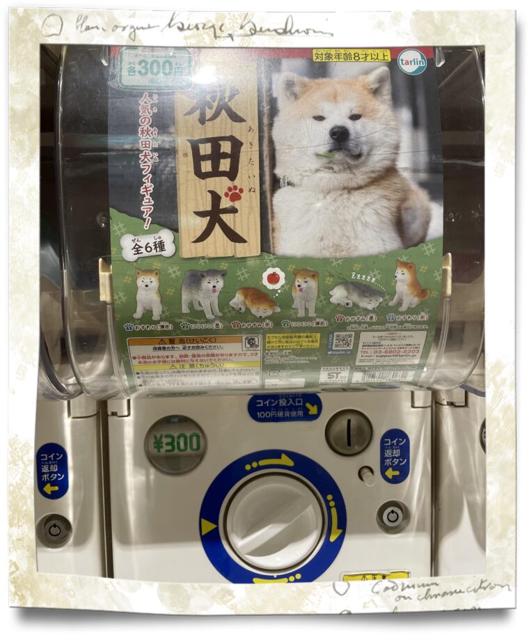 カプセルコレクションの秋田犬